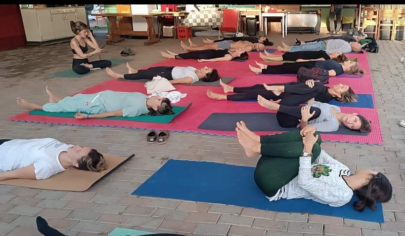 oliday festival 2026