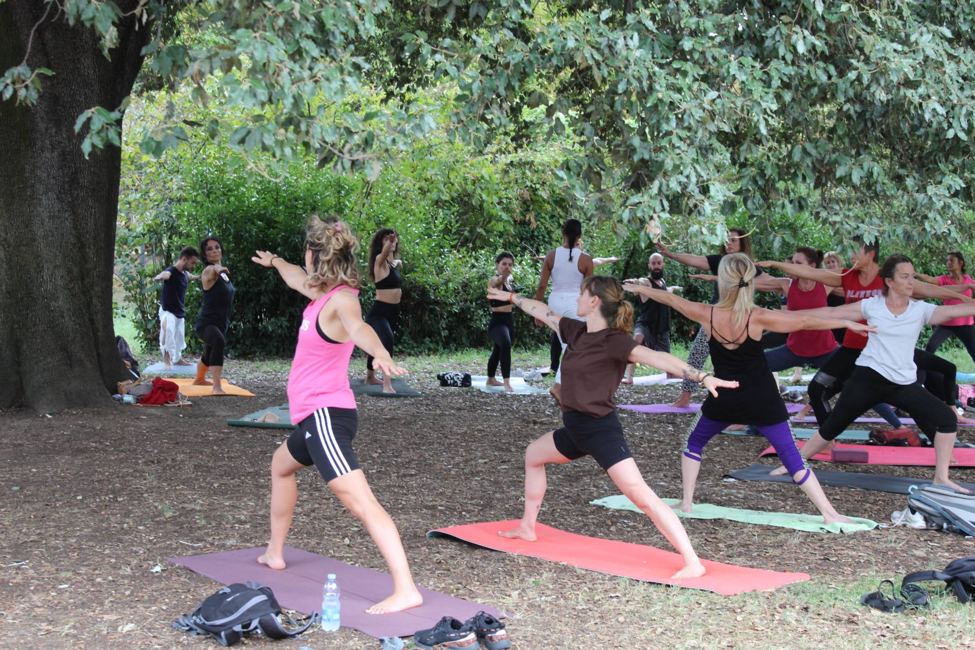 Yoga Festival